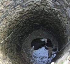 Adana'da su kuyusuna düşen inek itfaiye ekiplerince kurtarıldı