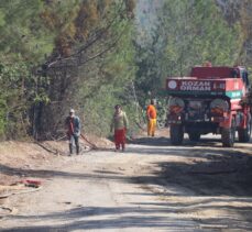 GÜNCELLEME – Adana'daki orman yangını kontrol altına alındı