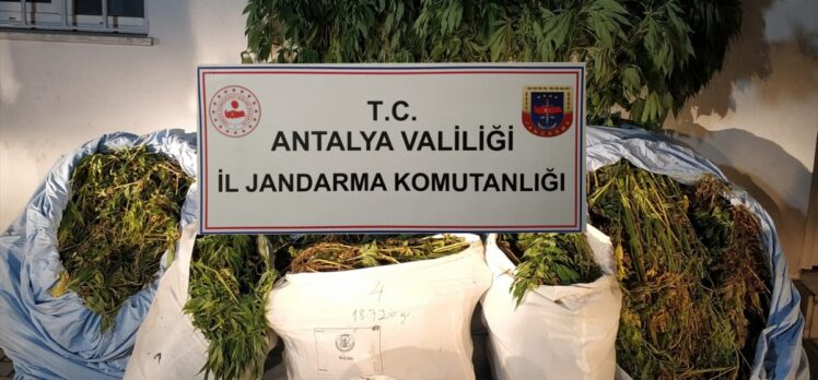 Antalya'da 161 kilogram esrar ele geçirildi