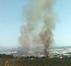 Antalya'da çıkan arazi yangınına hava ve karadan müdahale ediliyor