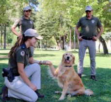 Aydın'da Çevre, Doğa ve Hayvanları Koruma Büro Amirliği kuruldu