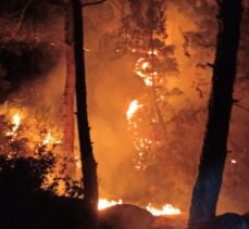 GÜNCELLEME – Aydın'da ormanlık alanda çıkan yangın kontrol altına alındı