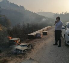 GÜNCELLEME 2 – Aydın'da zeytinlik ve makilik alanda çıkan yangın ormana sıçradı