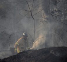 GÜNCELLEME 2 – Beykoz'da ormanlık alanda yangın