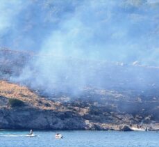 Bodrum'da Büyük Ada'da çıkan yangın söndürüldü