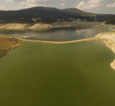 Burdur'da baraj suyunun azalmasıyla telef olan İsrail sazanları kıyıya vurdu