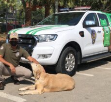 “Çevre, Doğa ve Hayvanları Koruma” polisleri Adana'da göreve başladı