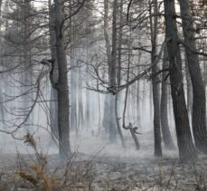 GÜNCELLEME – Ankara'nın Çubuk ilçesinde çıkan orman yangınına müdahale ediliyor