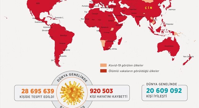 GRAFİKLİ – Dünya genelinde Kovid-19 tespit edilen kişi sayısı 28 milyon 684 bine yaklaştı