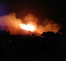 İzmir'de çıkan orman yangını Balıkesir'e sıçradı