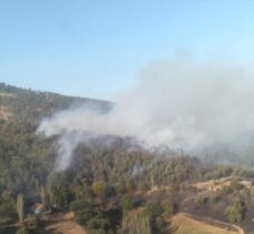 İzmir'in Kiraz ilçesinde çıkan orman yangını söndürüldü