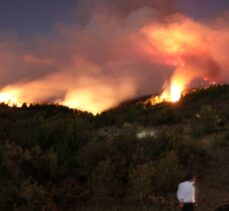 Kastamonu'daki orman yangınına müdahale sürüyor
