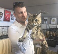 Kovid-19 evcil hayvan satışlarını artırdı