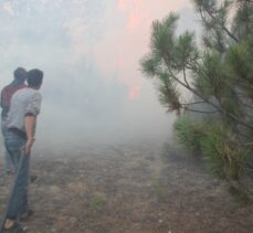 GÜNCELLEME – Kütahya'da çıkan orman yangını kontrol altına alındı