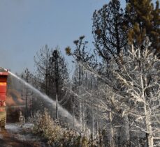 GÜNCELLEME – Muğla'daki orman yangını söndürüldü