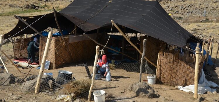 Sıcak bölgelerden Muş'a gelen göçerler yılın büyük bölümünü kıl çadırlarda geçiriyor