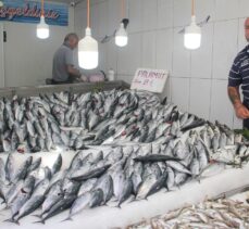 Sinop'ta denize açılan balıkçılar limana 600 kasa palamutla döndü