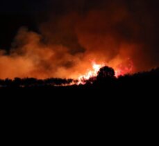 GÜNCELLEME 3 – Uşak'ta orman yangınına müdahale ediliyor
