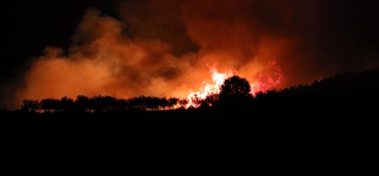 GÜNCELLEME 3 – Uşak'ta orman yangınına müdahale ediliyor