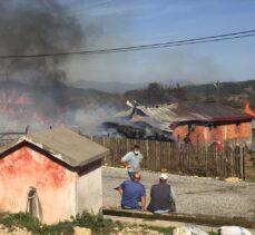 GÜNCELLEME – Bolu'da köyde bir evde çıkan yangın çevredeki evlere sıçradı