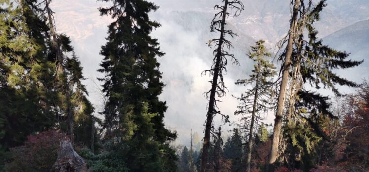 Gümüşhane Örümcek Ormanları'ndaki yangında soğutma çalışmaları sürüyor