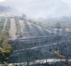 GÜNCELLEME – Hatay'daki orman yangınına müdahale sürüyor