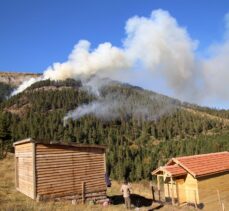 GÜNCELLEME 2 – Kastamonu'da çıkan orman yangınına müdahale ediliyor