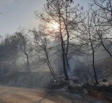 GÜNCELLEME 2 – Osmaniye'de çıkan orman yangınına müdahale ediliyor