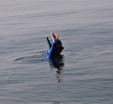 Şahika Ercümen, İzmit Körfezi'nde batırılan yolcu gemisinin etrafında dalış yaptı