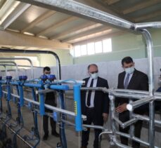 Sivas'ta “Süt Sığırcılığı Eğitim Çiftliği” yıllık 6 ton karkas et üretecek