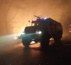 Ukrayna'nın doğusundaki orman yangınlarında 5 kişi öldü