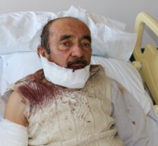 Aksaray'da köpeğin saldırısına uğrayan kişi hastaneye kaldırıldı