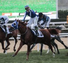 At yarışları: Cumhuriyet Kupası Koşusu