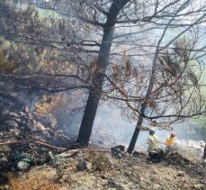 Datça'da çıkan orman yangını söndürüldü