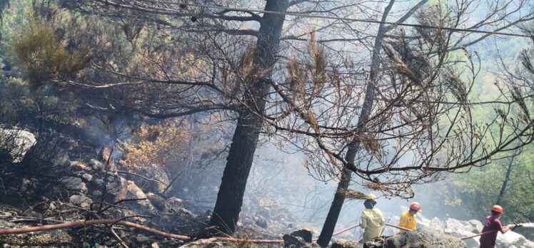 Datça'da çıkan orman yangını söndürüldü