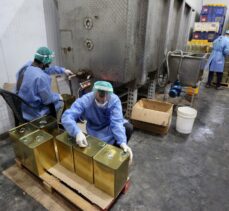 Gazze ilk kez Arap ülkelerine zeytinyağı ihraç ediyor