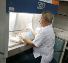 Harran Üniversitesi'nden “üç gün hastalığı”na karşı aşı çalışması