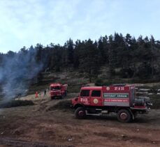 Kastamonu'daki 2 yangında yaklaşık 45 hektar ormanlık alan zarar gördü