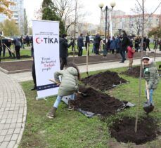 Kiev'de 11 Kasım Milli Ağaçlandırma Günü'nde fidan dikildi