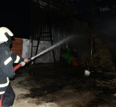 Manisa'da besi çiftliğinde çıkan yangında bir kişi yaralandı
