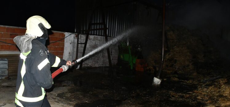 Manisa'da besi çiftliğinde çıkan yangında bir kişi yaralandı