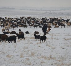 Muş'ta kar yağışına hazırlıksız yakalanan çobanlar zor anlar yaşadı