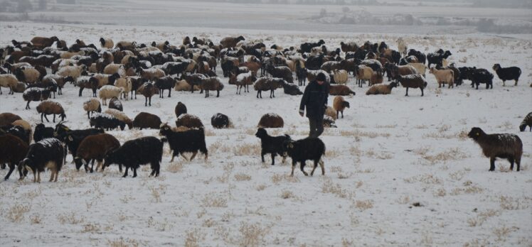 Muş'ta kar yağışına hazırlıksız yakalanan çobanlar zor anlar yaşadı