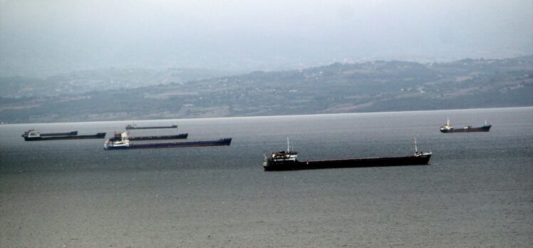 Yük gemileri rüzgar nedeniyle güvenli sığınak Sinop doğal limanına demirledi