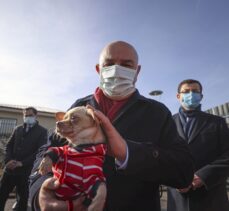Ankara'da ses telleri kesilen köpeklerler sahiplendirilecek