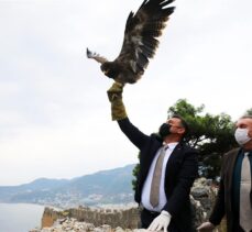 Antalya'da tedavileri yapılan kartal ve iki martı doğaya salındı