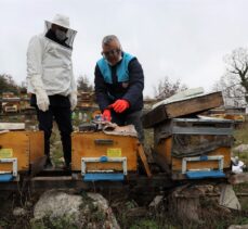 Bilecik'te arılarında hastalık tespit edilen üreticiye destek