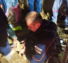 Burdur'da sondaj kuyusuna düşen yavru köpek kurtarıldı