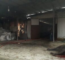 GÜNCELLEME – Bursa'da büyükbaş hayvan çiftliğinde çıkan yangın söndürüldü