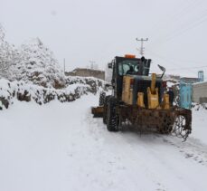 Doğu Anadolu'da kar ve tipi nedeniyle 522 köy yolu ulaşıma kapandı